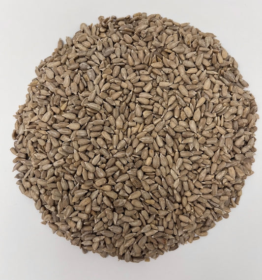 Graines de tournesol bio - 1